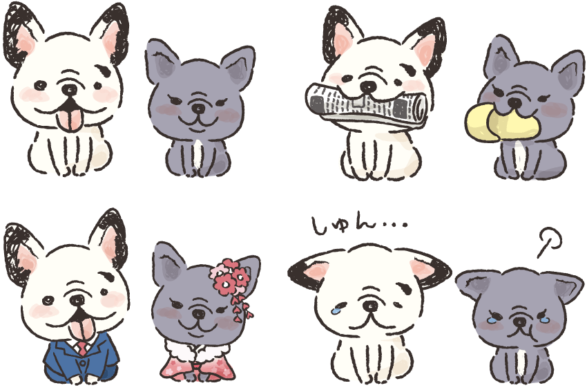 特別仕様も対応可能イラスト