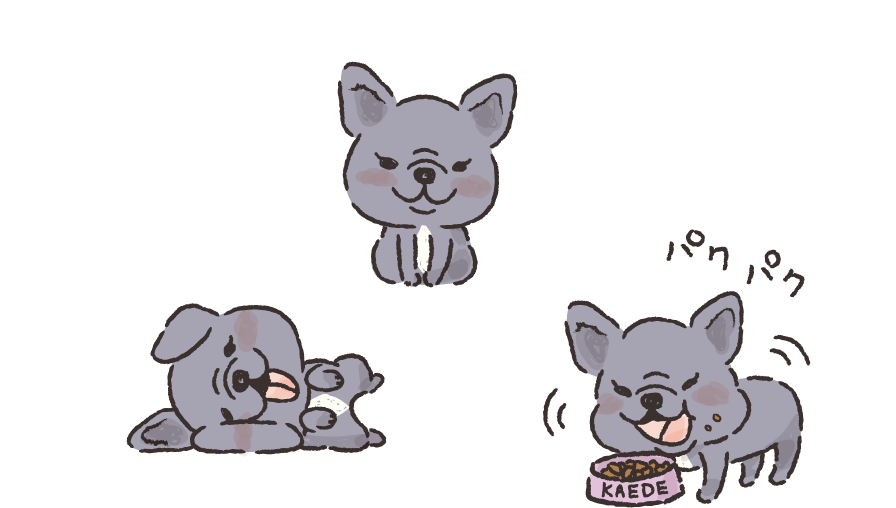 かえでちゃんイメージ