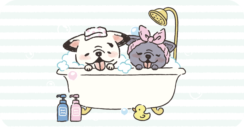シチュエーションポーズ